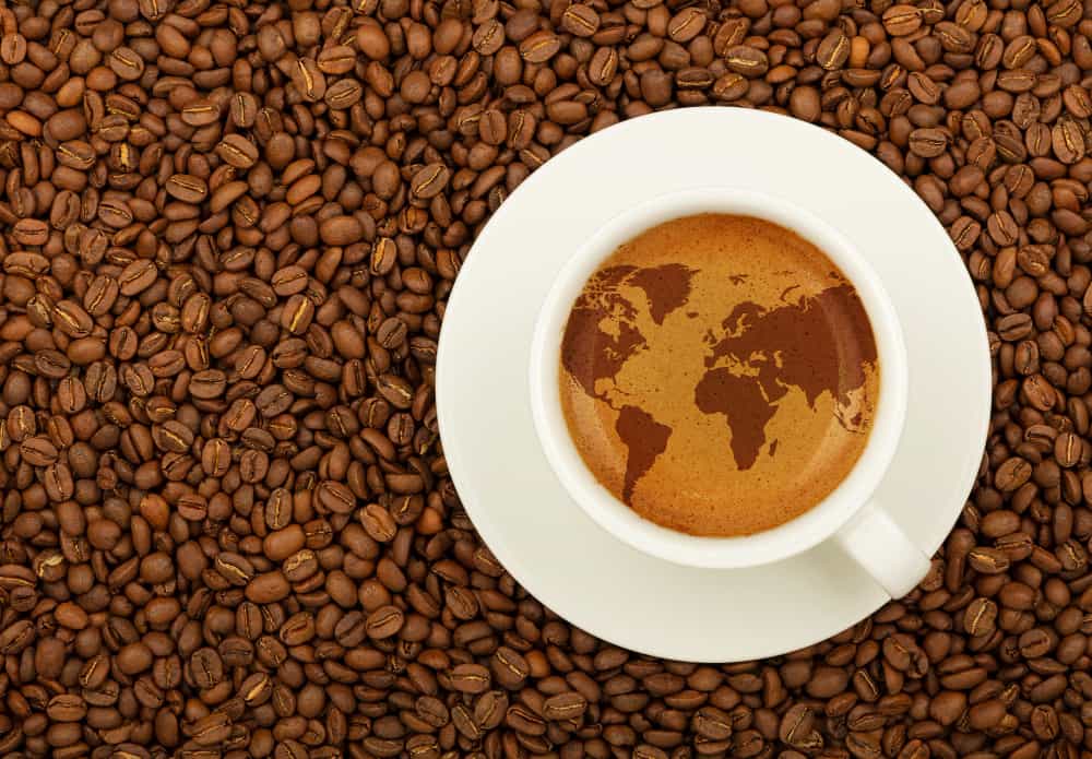 Cómo elegir un buen café de grano: la clave para un pocillo que te vuele la cabeza 3