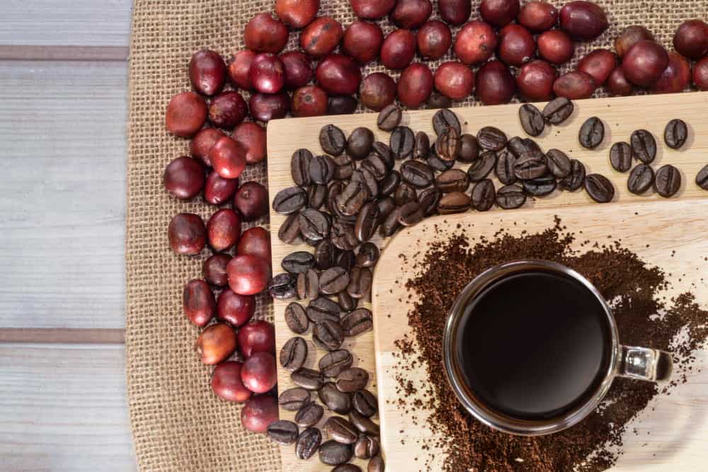 Variedad y tipos de café